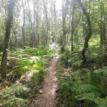 Estancia Con Jardin Entre Golf Y Monte - Cerca Logrono Sojuela Dış mekan fotoğraf