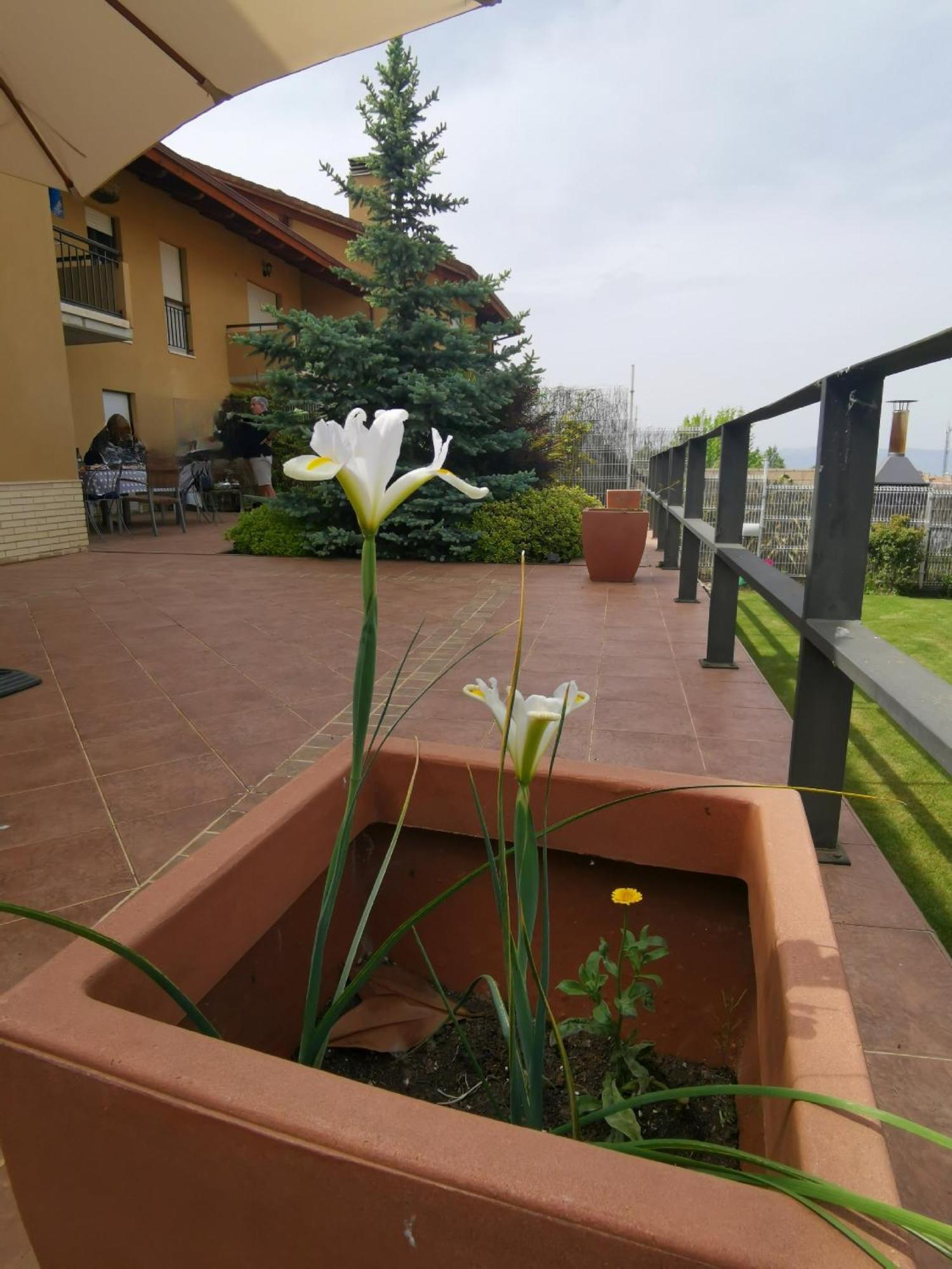 Estancia Con Jardin Entre Golf Y Monte - Cerca Logrono Sojuela Dış mekan fotoğraf